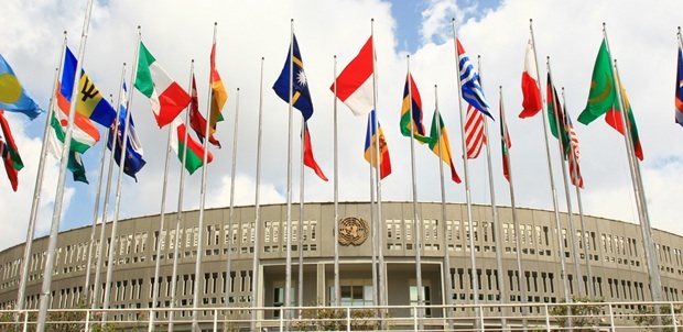 UNCC flags