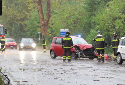 platano su auto in viale dannunzio a Pisa 10 agosto 2015-2