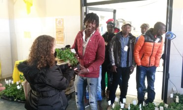 Il primo mercato agricolo dei migranti d’Italia