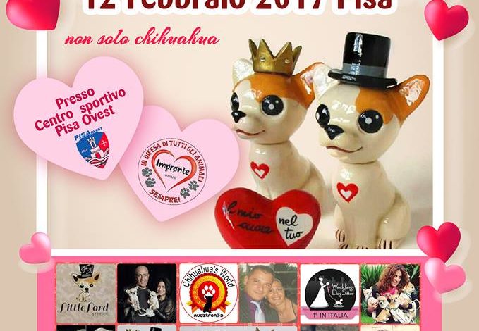 PARTY PER CANI DI PICCOLA TAGLIA : domenica 12 febbraio ai campi del PISA OVEST