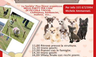 Pisa, a Porta a Mare il Mega Party dedicato ai cani di piccola taglia