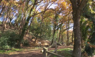 Calcinaia, proseguono i lavori di riqualificazione del Bosco di Montecchio