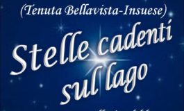 Sabato 11 agosto torna “Stelle cadenti sul Lago"