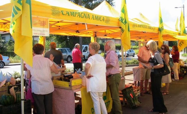 Lo storico mercato di Campagna Amica del Consorzio Agrario si sposta nella Darsena Pisana