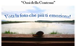 GAIA organizza il 1° Nature Photo Contest "Emozioni di Natura"