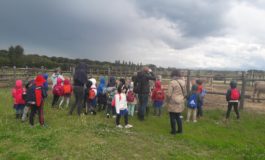 Bimbi in visita all’ospedale veterinario dell’Università di Pisa