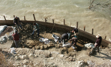 Scoperta a Matera la più grande balena fossile del mondo