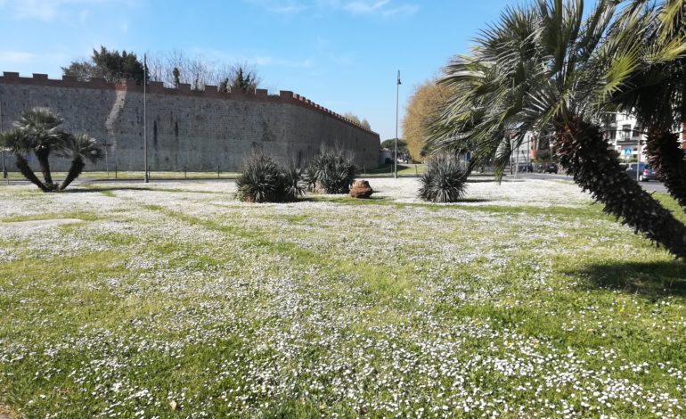 Campo sportivo di Santa Marta, Confcommercio: “Non vogliamo trasformarlo in un parcheggio”