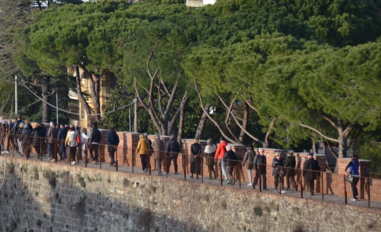 Pisa e le Mura: visita guidata natalizia