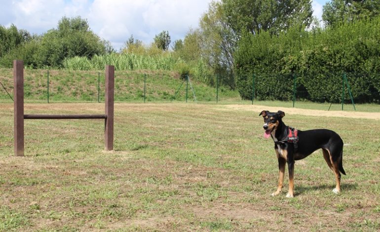 Verde urbano, nuova area sgambatura a Riglione