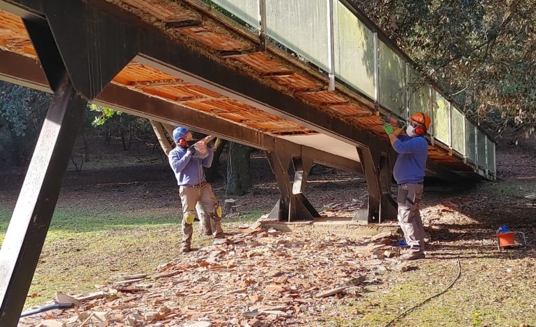 Parco di Migliarino San Rossore Massaciuccoli: lavori in corso per 1,3 milioni di euro