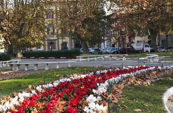 Pisa, allestite le fioriture autunnali nelle principali piazze e aree verdi della città