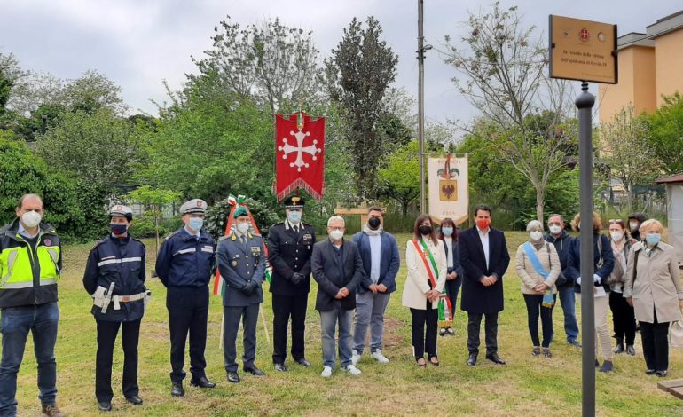 Covid-19, in via Sempione targa e albero in memoria delle vittime della pandemia