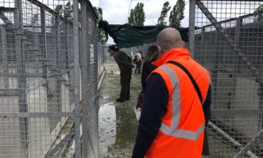 Sopralluogo congiunto al canile “Soffio di vento” di Ospedaletto