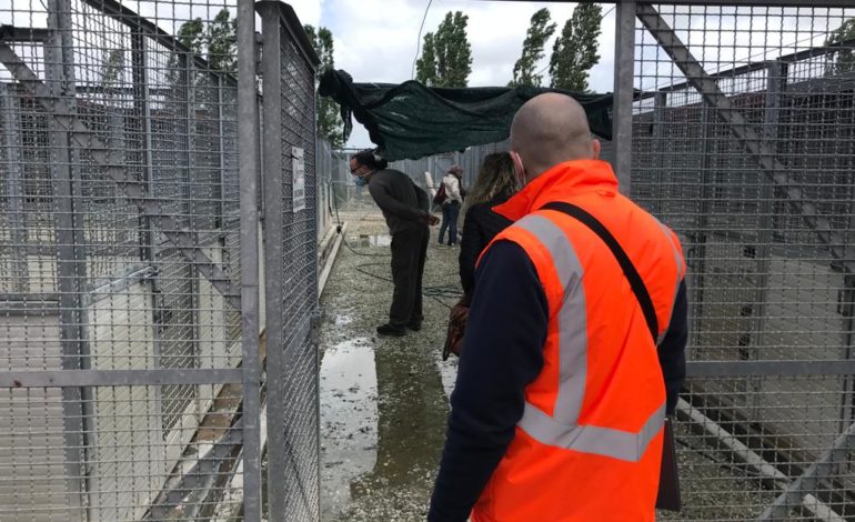 Sopralluogo congiunto al canile “Soffio di vento” di Ospedaletto