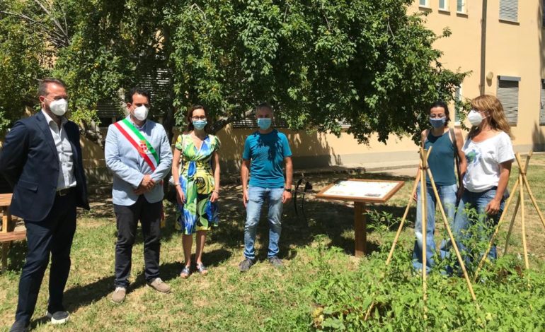 Inaugurata l’Aula Natura alla scuola Genovesi