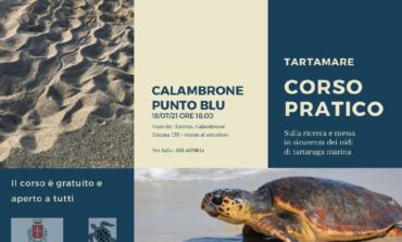 A Calambrone un corso gratuito sulla nidificazione della tartaruga marina Caretta caretta sulla costa pisana