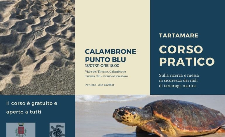 A Calambrone un corso gratuito sulla nidificazione della tartaruga marina Caretta caretta sulla costa pisana