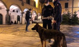 Polizia Municipale arresta spacciatore in Vettovaglie