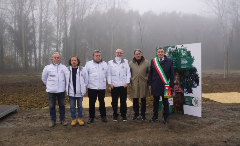 Piantati i primi alberi del bosco di Montopoli