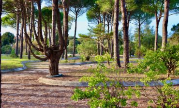 Tirrenia, affidati lavori di riqualificazione di Ciclilandia