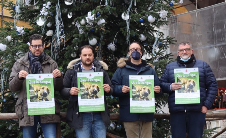 ﻿Adozioni dei cani, il Comune di Pisa lancia la campagna di sensibilizzazione “Qua la zampa!”