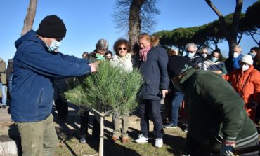 A San Rossore piantati i primi pini del 'Viale dei Legami'