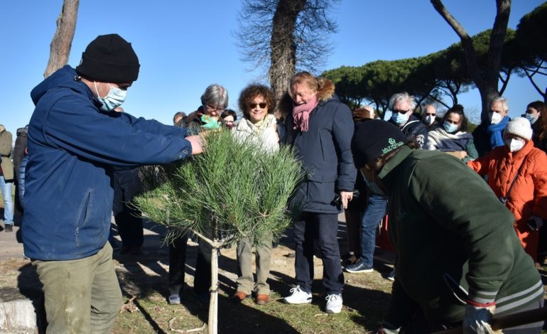 A San Rossore piantati i primi pini del ‘Viale dei Legami’