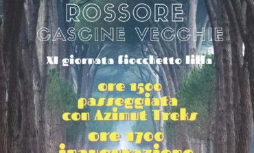 ﻿Giornata nazionale dei disturbi alimentari: illuminate di lilla Logge dei Banchi e la Torre di Pisa