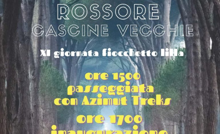 ﻿Giornata nazionale dei disturbi alimentari: illuminate di lilla Logge dei Banchi e la Torre di Pisa