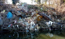 ﻿Rifiuti abbandonati, scoperta discarica abusiva sull’argine dell’Arno a San Piero a Grado