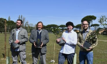 Mille nuove piante nel Parco Migliarino, San Rossore e Massaciuccoli