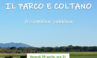 COLTANO: IL CENTROSINISTRA DICE NO ALLA BASE E ORGANIZZA UN'ASSEMBLEA PUBBLICA