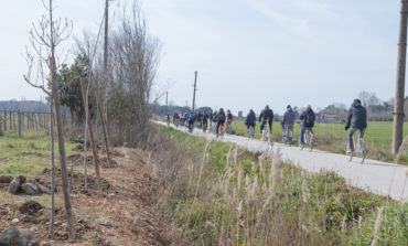 Aperte le visite gratuite in bicicletta e a piedi nella ex tenuta di Tombolo del Centro “Enrico Avanzi” dell’Università di Pisa