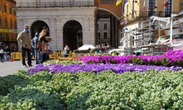 ﻿Verde Pisa, fiori e piante rallegrano la Pasqua