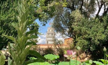 ﻿Visita guidata dal camminamento in quota all'orto botanico