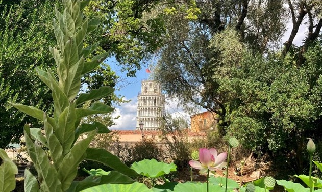 ﻿Visita guidata dal camminamento in quota all’orto botanico