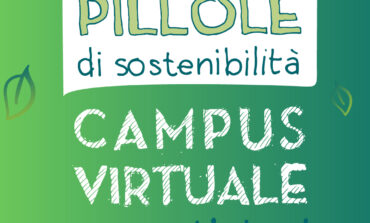 ﻿Artigianato, incontro sulla sostenibilità con il campus virtuale