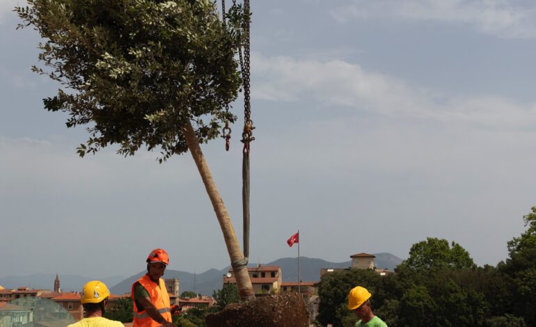 ﻿Giardino Scotto: in fase conclusiva i lavori di riqualificazione del Bastione Sangallo