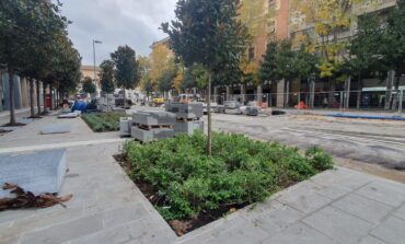 ﻿Rinnovo arboreo, al via gli interventi alla Stazione