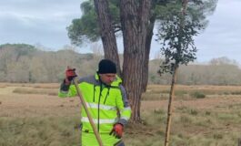 Viale dei legami, piantati 121 nuovi alberi