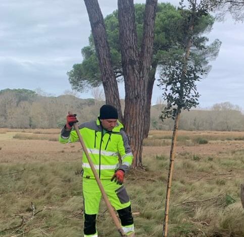 Viale dei legami, piantati 121 nuovi alberi