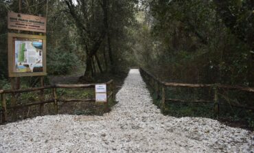 Da Villa Borbone alla spiaggia immersi nella natura Riqualificato il percorso della Lecciona