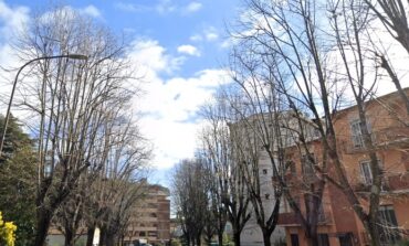 A Porta a Lucca lavori di manutenzione e messa in sicurezza dei tigli in via Roques