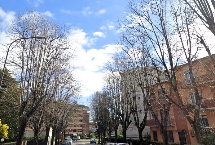 A Porta a Lucca lavori di manutenzione e messa in sicurezza dei tigli in via Roques